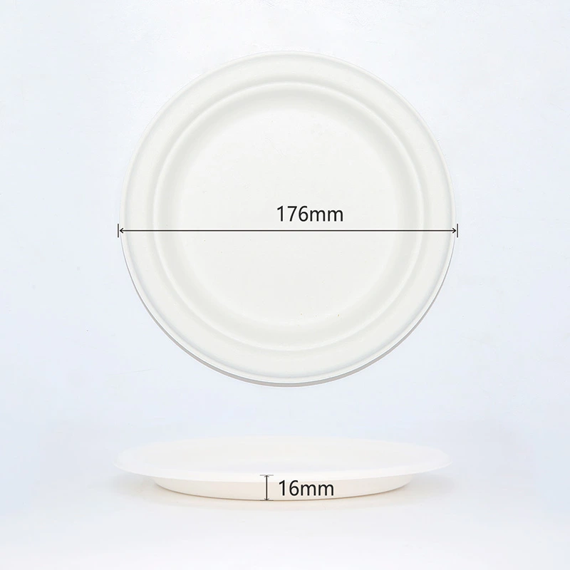 100% Biodegradable Eco-Friendly Sugarcane Bagasse Disposable 10'' Round Plate