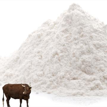 Chondroitin Sulfate Bovine Cartilage Help Rebuild Cartilage