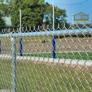 Decorative Green Chain Link Fence for Gardens