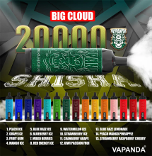 Wholesale E Cigarette 20000 Puffs Germany Vapanda Shisha