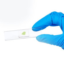 100 Plants + 100 Animals Prepared Slides - 200 Piece General Natural Science Collection