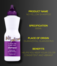 Private Label Professional Hair Shiny Remove Yellow Tone Silver No Yellow Purple Shampoo After Colored