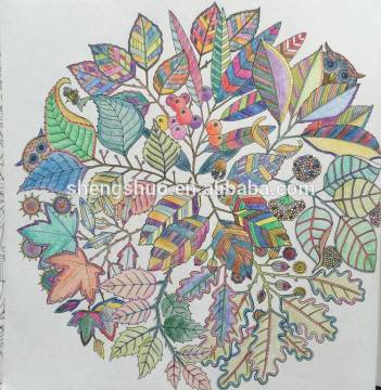 24colors Artist Coloured Pencil for Secret Garden Drawing Book