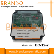 AC220V 12 lines Programmable Pulse Dedust Controller