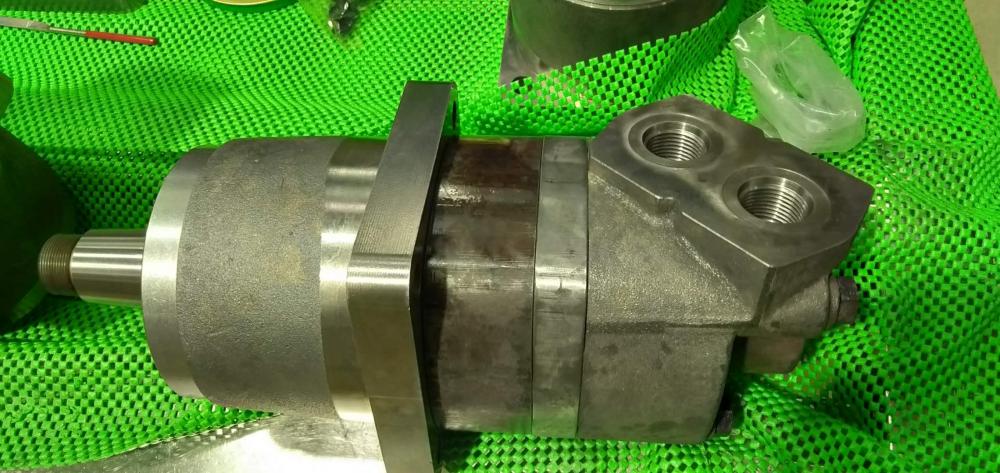 hydraulic wheel motor