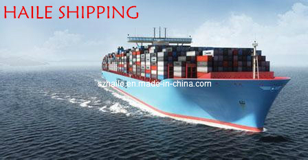 FCL Sea Freight Shenzhen to Port Sudan