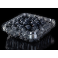 Récipient à clapet en plastique PET pour Blueberry