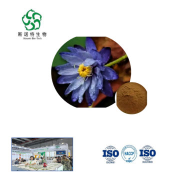 Blue Lotus Extract - Bulk Nymphaea Caerulea for Calming Supplements