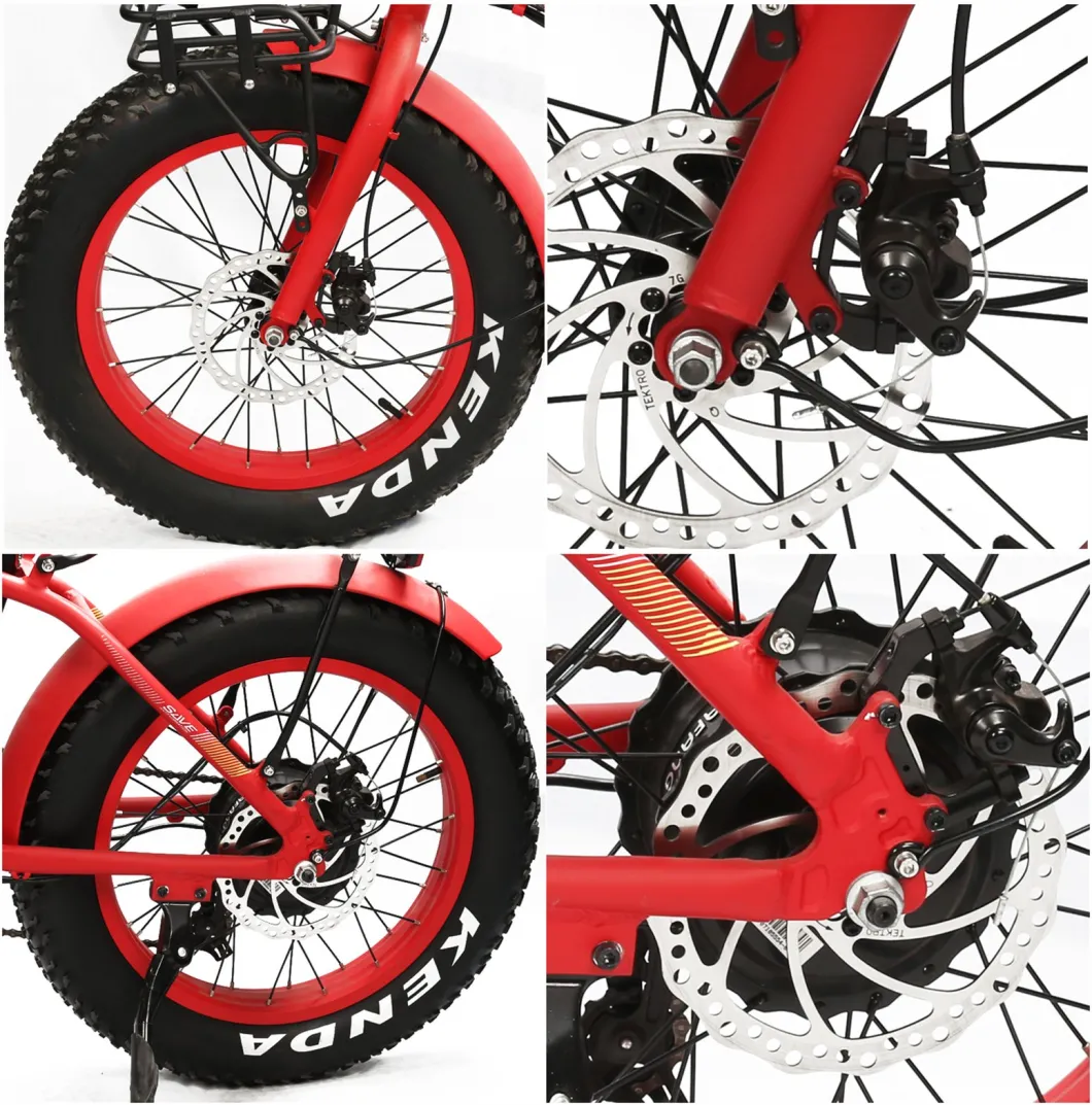 Mini Folding Fat Tire Electric Bike with LED Display