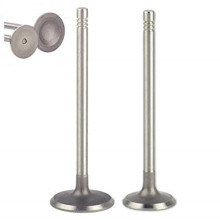 VOLKSWAGEN PASSAT 16V Car Engine Valve