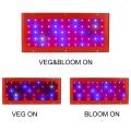 Spektrum Penuh 100W Grow Lights For Plants Hydroponics