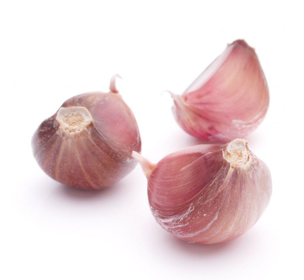 Organic No Fermented Garlic Factory Direct Sale