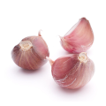 Organic No Fermented Garlic Factory Direct Sale