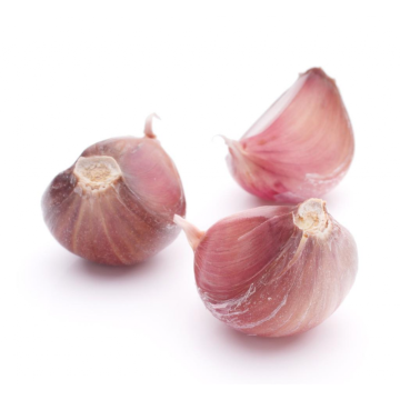 Organic No Fermented Garlic Factory Direct Sale