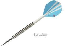 Target Model Tungsten Hard steel Tip Darts 21g With Customi