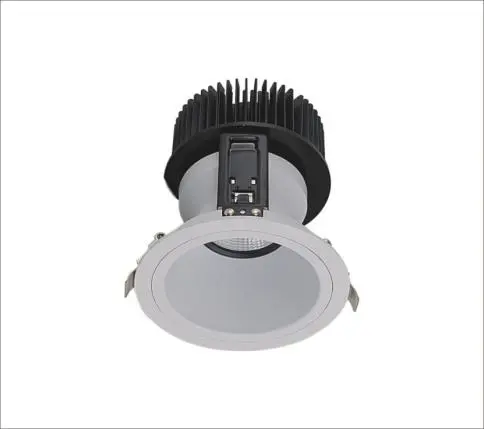 COB High Watt LED Light for Wall Lighting