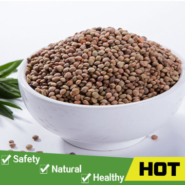 Chinese small lentils price wholesale