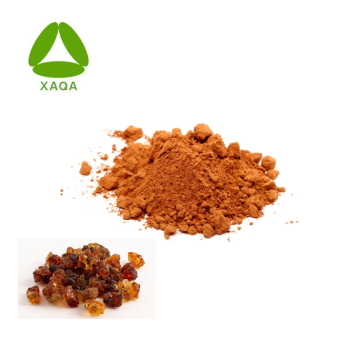 Pure Natural Food Grade Peach Gum Extract Powder