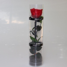 Wholesale Preserved Roses: Natural Preserved Stems & Roses for Valentine's Day Gifts