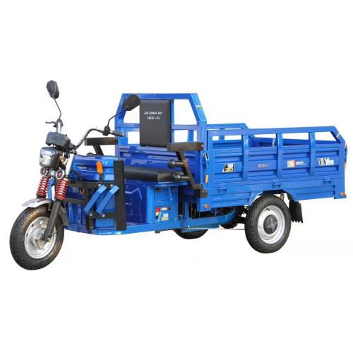 Triciclo de carga eléctrico grande para adultos de uso familiar