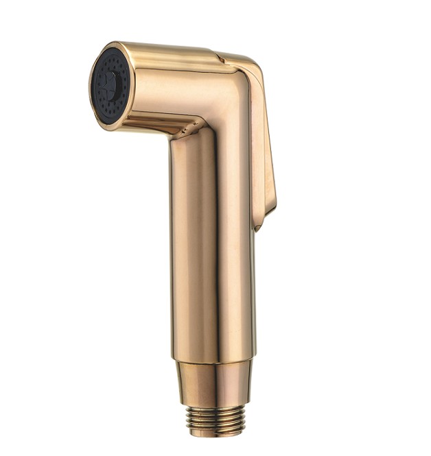 Brass Brass SS304 Phụ kiện phòng tắm Bidet Spray Shattaf