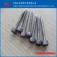 5LB 2" lead head nail