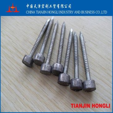 5LB 2" lead head nail