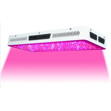 Rau thủy canh Led Grow Đèn