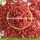 Te koop Dry Fruit Red Common Goji Berry