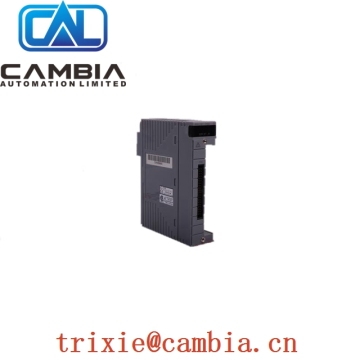 Yokogawa beautiful price CA0*A