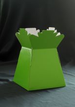 Colorful Flower transport vases