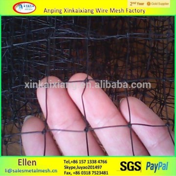 Factory export Southeast Asia PE extruded plastic net, extruded plastic net, plastic net