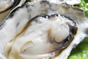 oyster peptide powder for body function improvement