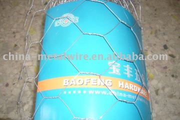 Galvanized Iron Wire Netting