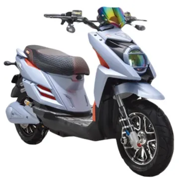 48V20Ah 500W Electric Mopeds