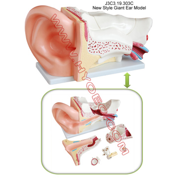 New Style Giant Ear Model-J3C3.19.303C