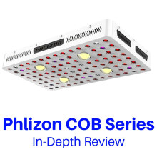 Phlizon 2000W Cob LED đánh giá