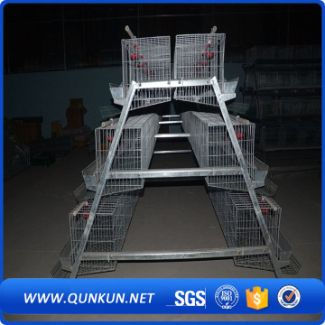 A Style Galvanized Layer Cage