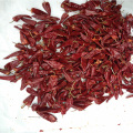 Yellow Dehydrated Yidu Chili pepper seeds