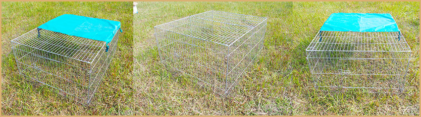 corralito de conejo rabbit playpen