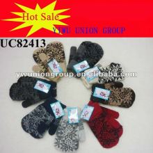 Knitted Winter Mitten