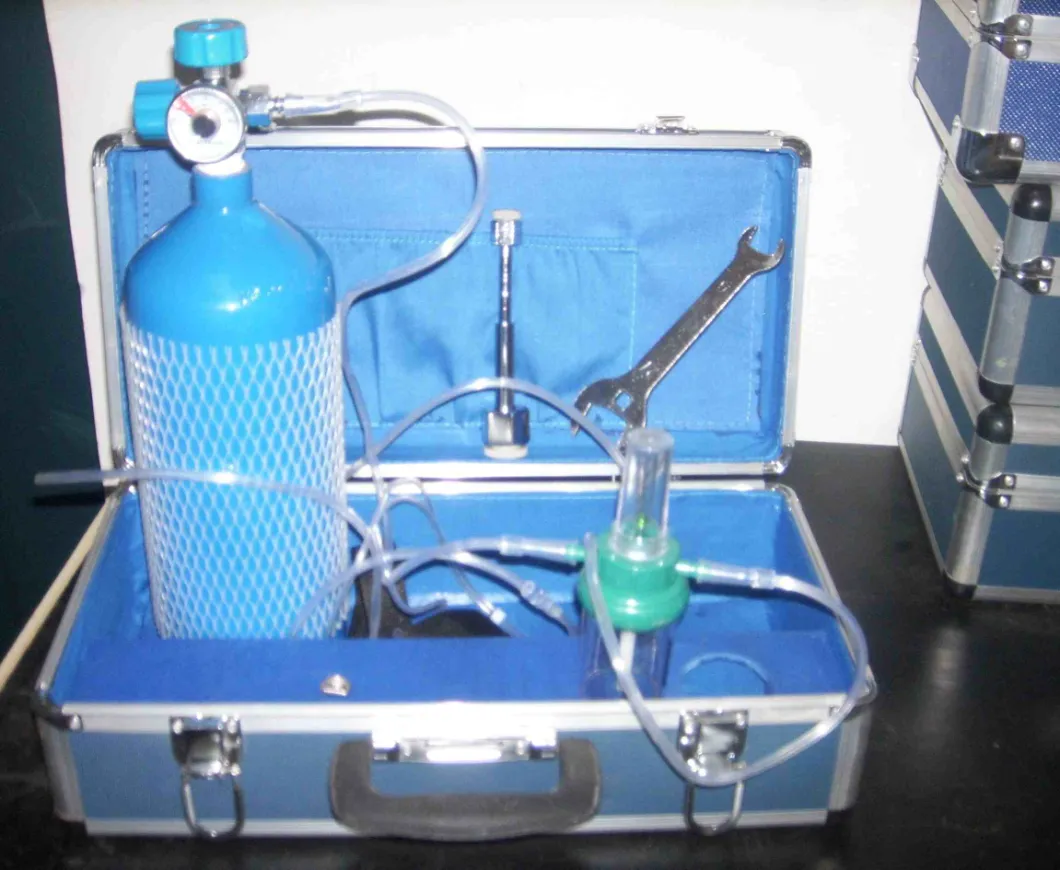 Bag-Type Aluminum Oxygen Supply System (2.5L Set)