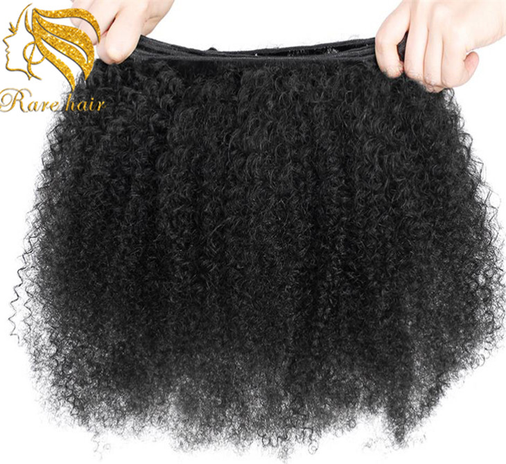Lsy Natural Textures Kinky Curly Afro Twist Hair Extensions, Brazilian Afro Kinky Hair Braids Styles Types Hair Weaves