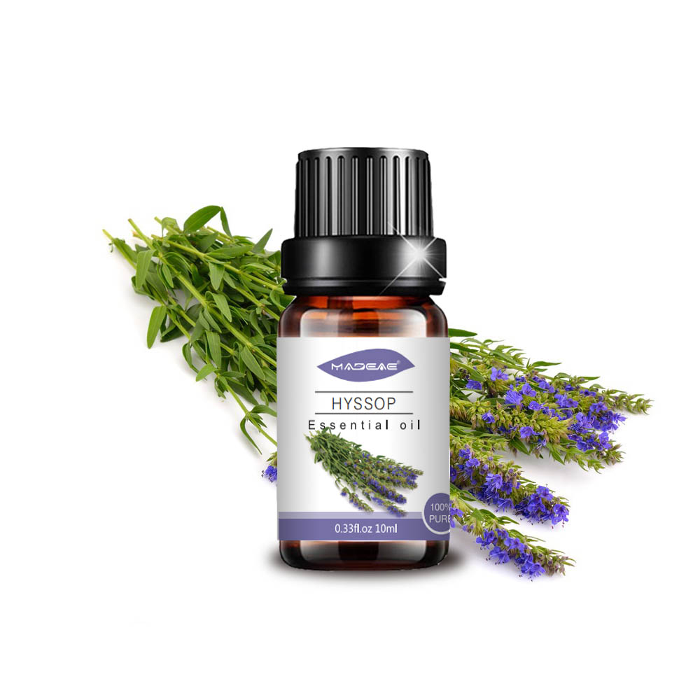 Pure Natural Hyssop Essential Oil for Cosmetics Massage