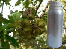 import star aniseed oil fragrance oil