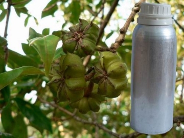 import star aniseed oil fragrance oil