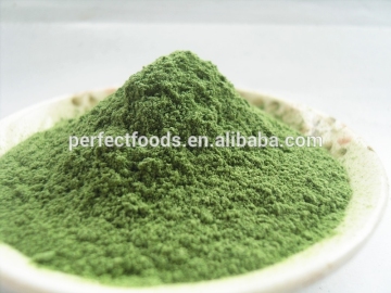 green barley grass powder