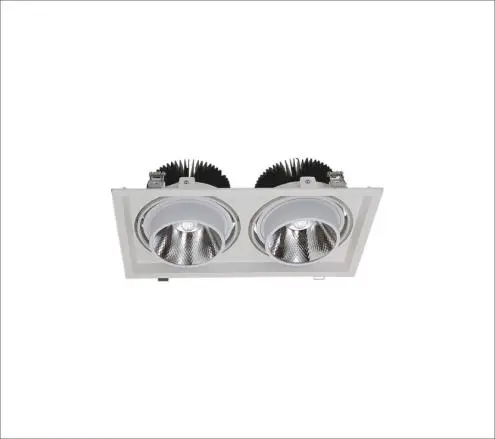 COB 30W*2 LED Downlight for Exhibition Display