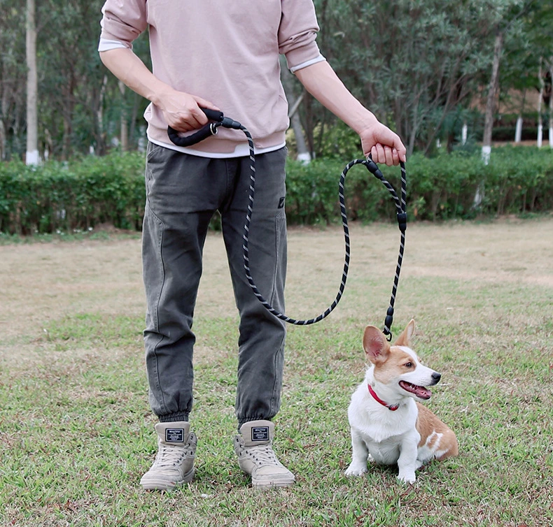 Hot Sale Durable Dog Slip Rope Leash Nylon Dog Leash