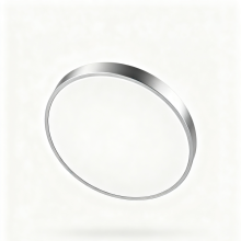 LED Ceiling Light with Color Change